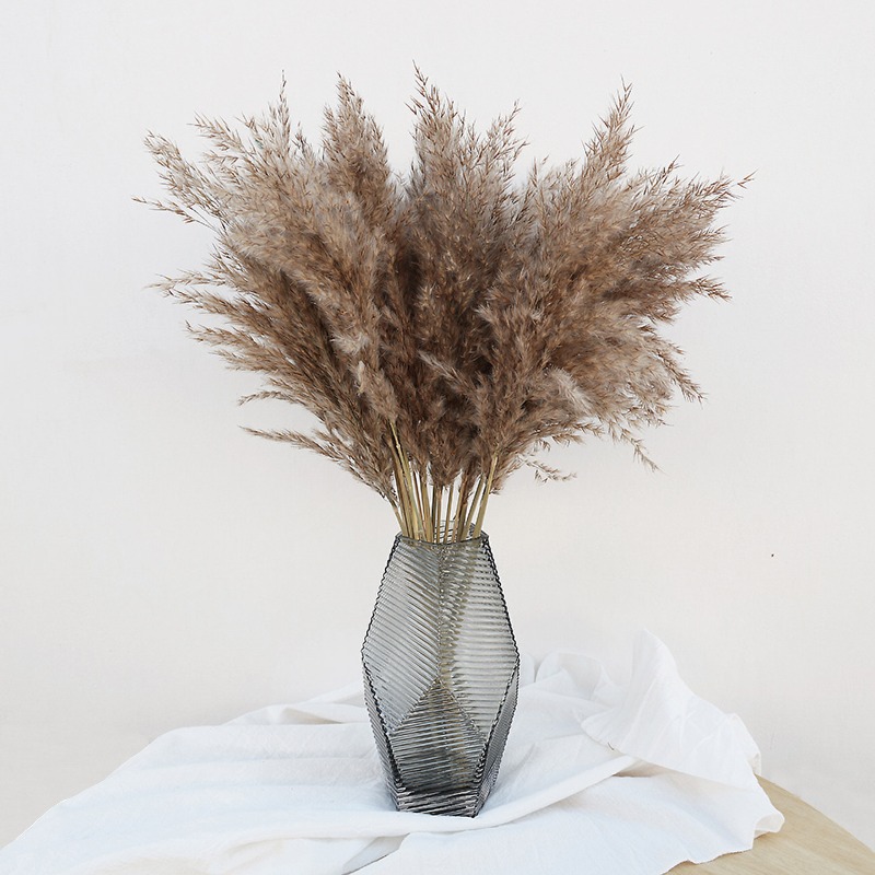 Florist Supply Vases - 10개 다채로운 천연 갈대 팜파스 그래스