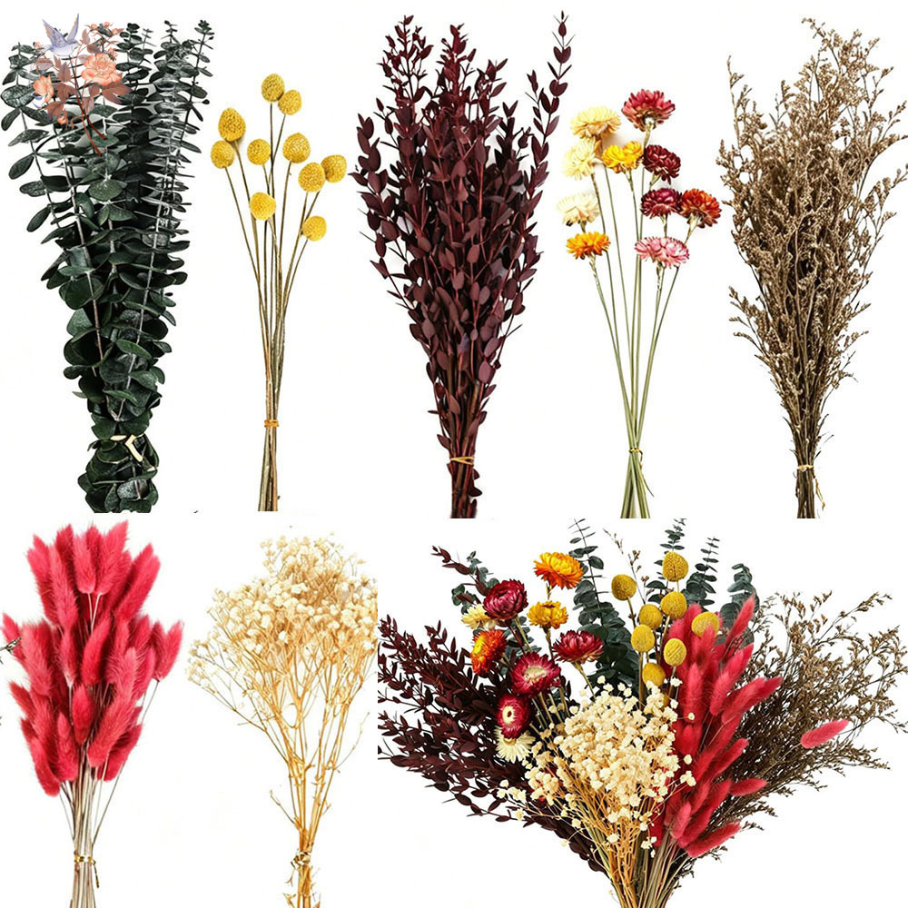 다양한 종류의 드라이 플라워 7종 세트, 자연스러운 유 - Florist Flower Supply 리뷰 및 가격