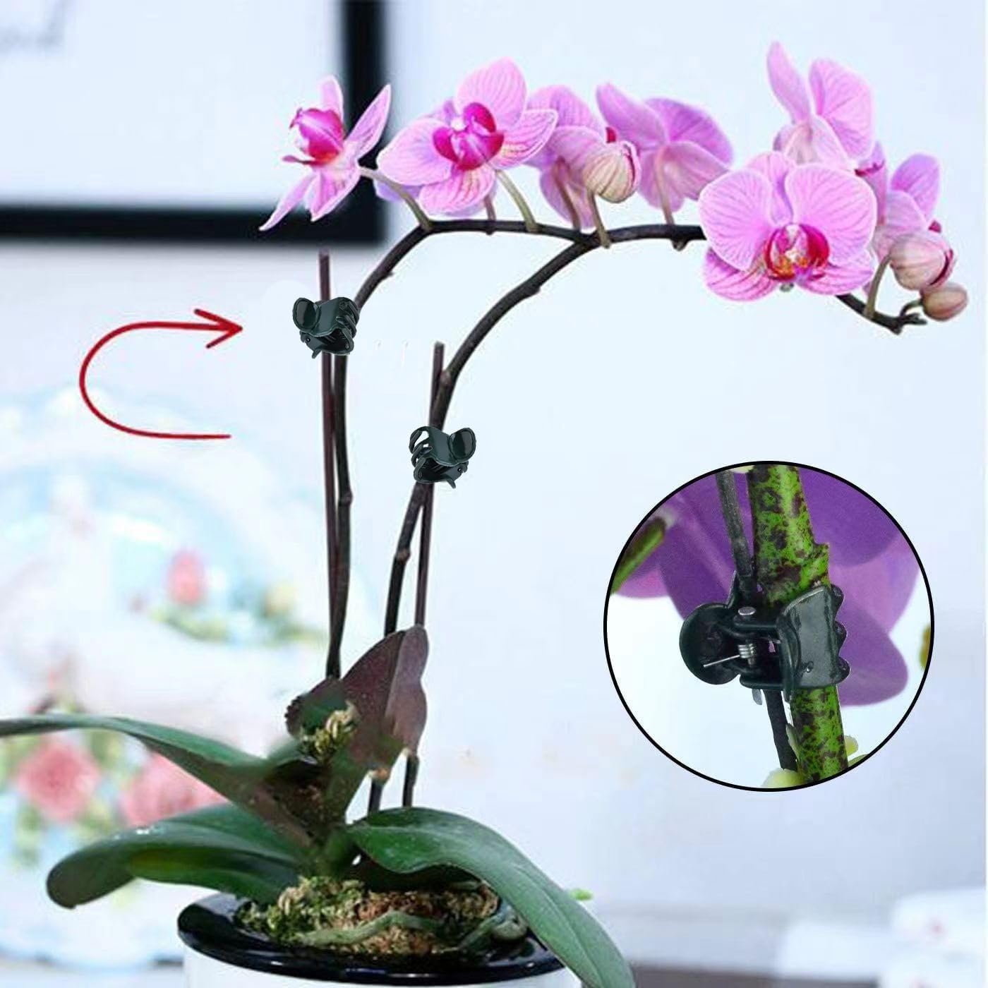 미니 식물 지지대 100개 세트, 난초와 데이지 꽃 줄 - Florist Supply Bulk 리뷰 및 가격
