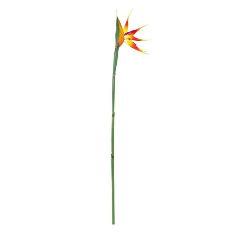 새로운 롱 스템 인조 버드 오브 파라다이스 장식용 정통 - Florist Supply Bulk 리뷰 및 가격